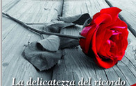 img-dx