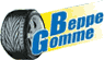 logo-ph
