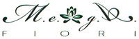 img-dx