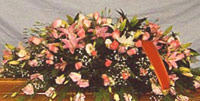 img-dx