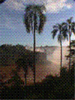 img-dx