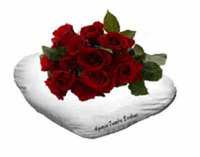 img-dx