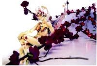 img-dx