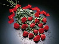 img-dx