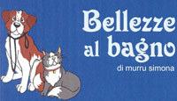 img-dx
