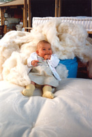 img-dx