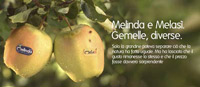 img-dx