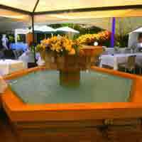 img-dx