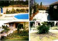 img-dx