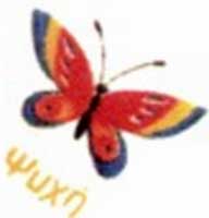 img-dx