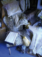 img-dx