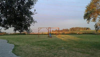 img-dx