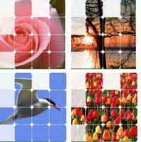 img-dx