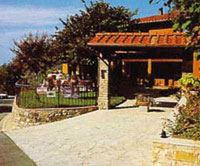 img-dx