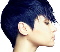 img-dx