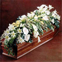 img-dx