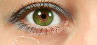 img-dx