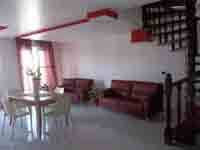 img-dx