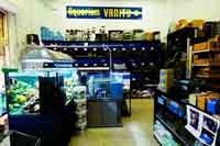 img-dx