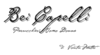 logo-ph