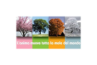 img-dx