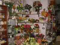 img-dx