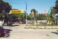 img-dx