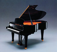 img-dx