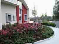 img-dx