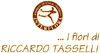 logo-ph