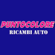 logo-ph