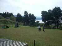 img-dx