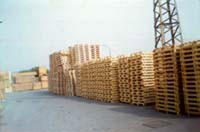img-dx