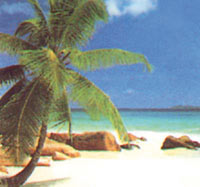 img-dx