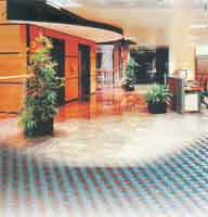 img-dx