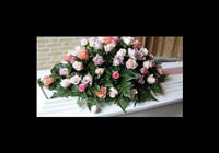 img-dx