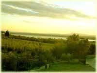 img-dx