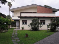 img-dx