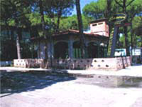 img-dx