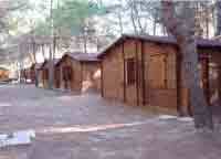 img-dx