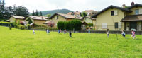 img-dx
