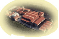 img-dx