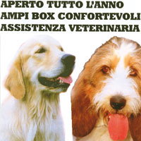 img-dx