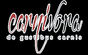 logo-ph