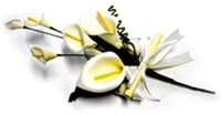 img-dx