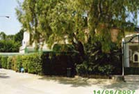 img-dx