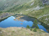 img-dx