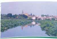 img-dx