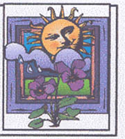 img-dx