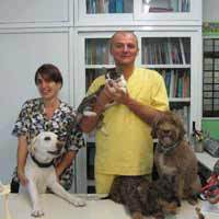 img-dx